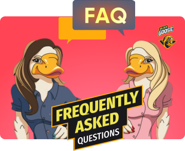 Frequently Asked Questions: All you need to know for your successful start in Golden Goose