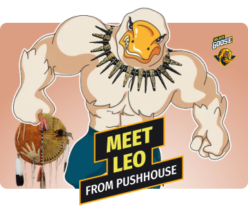 Interview with Ad Networks: Meet Leo from PushHouse