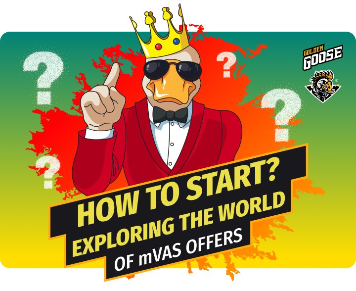 How to Start? Exploring the world of mVAS OFFERS