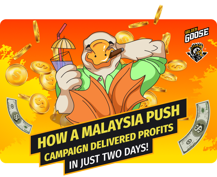 Case Study: How a Malaysia Push Campaign Delivered Profits in Just Two Days!