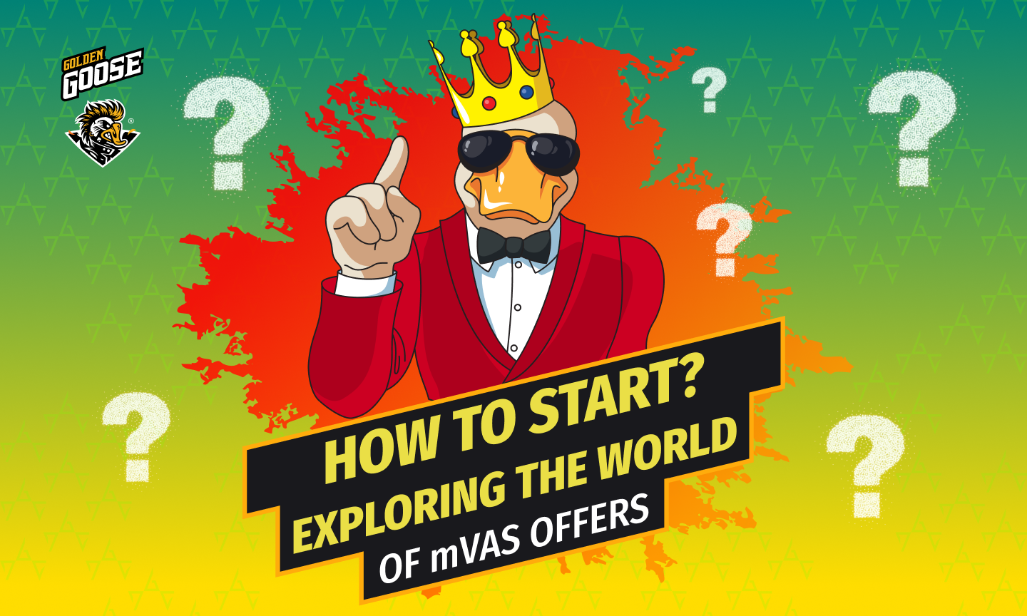 How to Start? Exploring the world of mVAS OFFERS